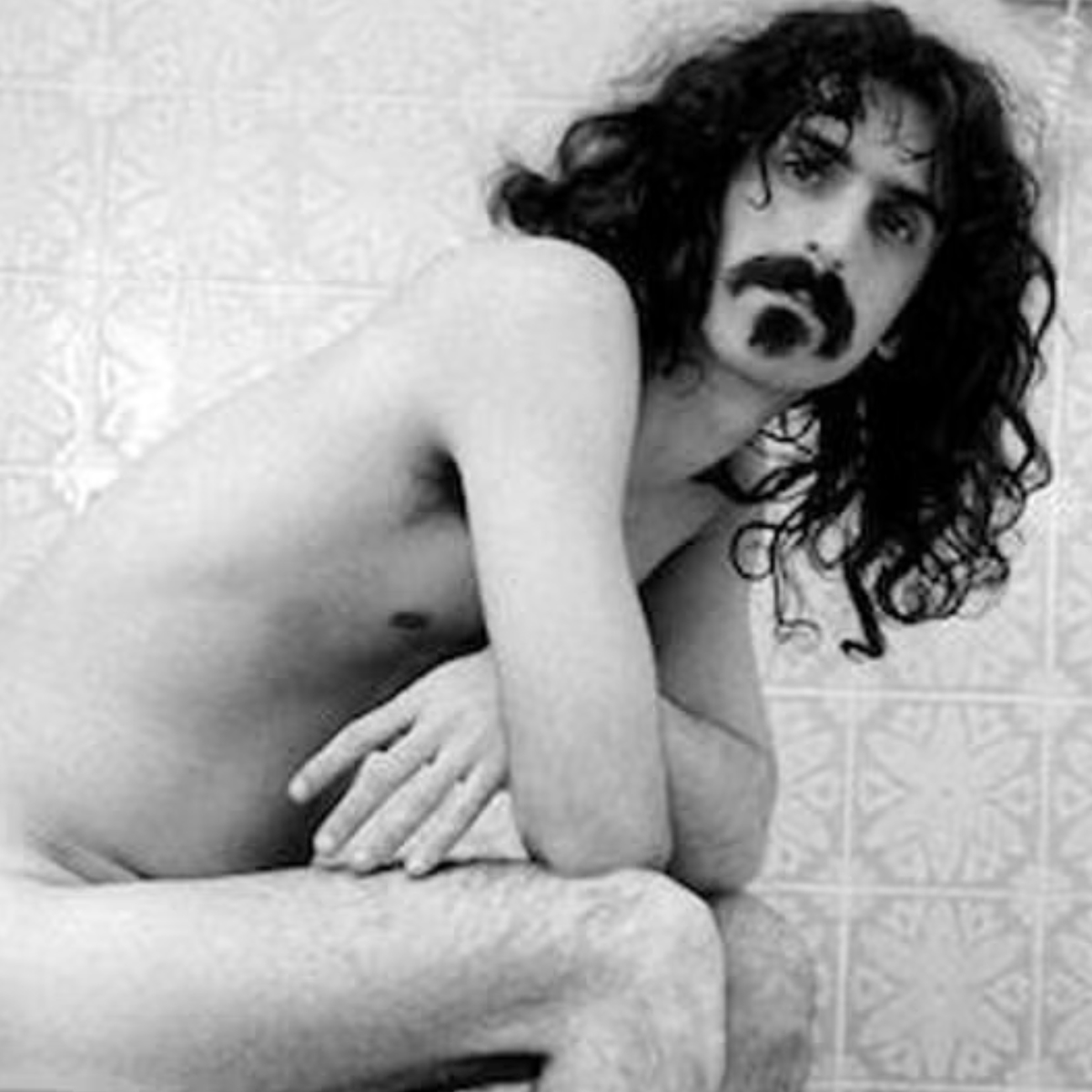 frank zappa